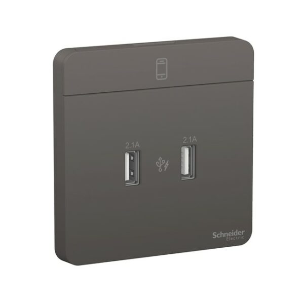 Outlet Data Schneider AvatarOn, 2 USB charger, 2.1A, Dark Grey